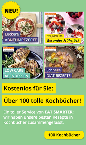 100 kostenlose Kochbücher