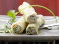 Rezept: Asia-Cannelloni mit Lachs-Garnelen-Füllung