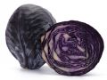 Warenkunde Rotkohl
