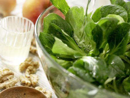 Apfel-Fenchel-Salat Zubereitung Schritt 1 Apfel-Fenchel-Salat Zubereitung Schritt 1