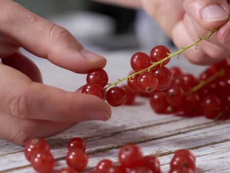 Beerencharlotte Zubereitung Schritt 1 Beerencharlotte Zubereitung Schritt 1