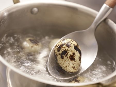 Cremiges Kressesüppchen Zubereitung Schritt 4 Cremiges Kressesüppchen Zubereitung Schritt 4
