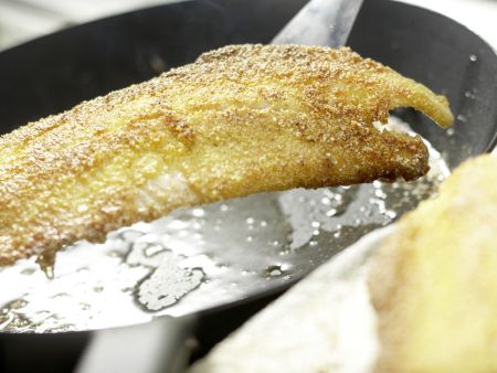 Forellenfilets in Polentakruste Zubereitung Schritt 11 Forellenfilets in Polentakruste Zubereitung Schritt 11