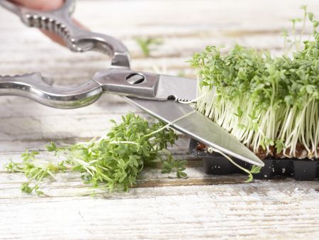 Gebratene Saiblingsfilets Zubereitung Schritt 8 Gebratene Saiblingsfilets Zubereitung Schritt 8