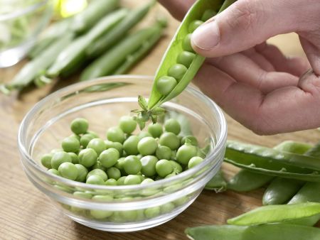 Gefüllter Kohlrabi Zubereitung Schritt 3 Gefüllter Kohlrabi Zubereitung Schritt 3