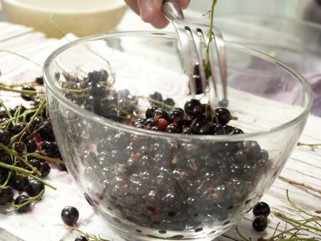 Gelee aus schwarzen Johannisbeeren Zubereitung Schritt 2 Gelee aus schwarzen Johannisbeeren Zubereitung Schritt 2