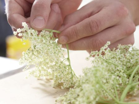 Holunderblütensirup Zubereitung Schritt 1 Holunderblütensirup Zubereitung Schritt 1