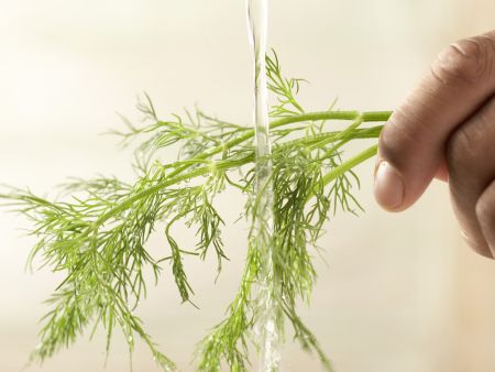 Krebsschwänze auf Möhrengemüse Zubereitung Schritt 4 Krebsschwänze auf Möhrengemüse Zubereitung Schritt 4