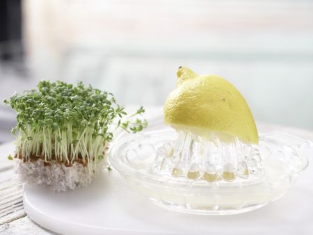 Radieschen-Smoothie Zubereitung Schritt 1 Radieschen-Smoothie Zubereitung Schritt 1