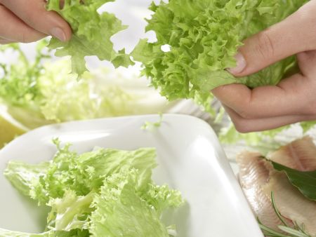 Räucherforelle auf grünem Salat Zubereitung Schritt 1 Räucherforelle auf grünem Salat Zubereitung Schritt 1