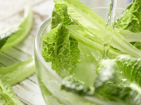 Römersalat à la Asia Zubereitung Schritt 4 Römersalat à la Asia Zubereitung Schritt 4