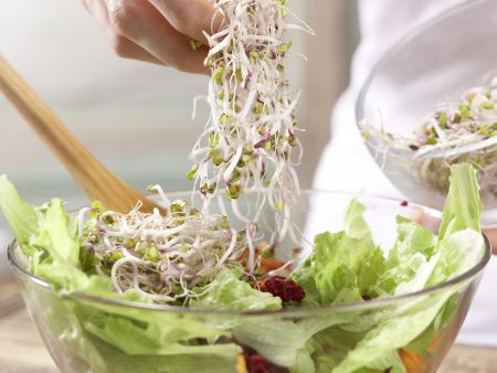 Rote-Bete-Möhren-Salat Zubereitung Schritt 5 Rote-Bete-Möhren-Salat Zubereitung Schritt 5