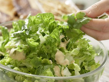 Salat mit Chili-Huhn Zubereitung Schritt 8 Salat mit Chili-Huhn Zubereitung Schritt 8