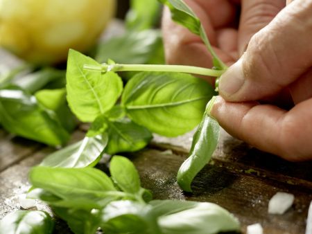 Tomatensuppe – smarter Zubereitung Schritt 4 Tomatensuppe – smarter Zubereitung Schritt 4