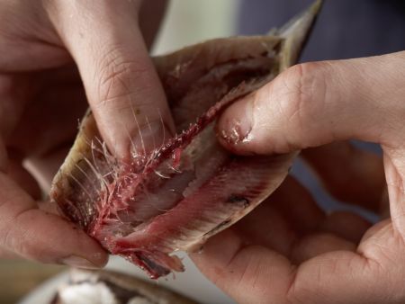 Überbackene Sardinen Zubereitung Schritt 5 Überbackene Sardinen Zubereitung Schritt 5