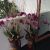 Bild des Benutzers myrtha_jenne Bild des Benutzers myrtha_jenne