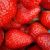 Bild des Benutzers Strawberryqueen Bild des Benutzers Strawberryqueen