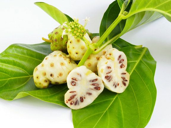 Noni-Beeren