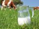 Milch-Diät