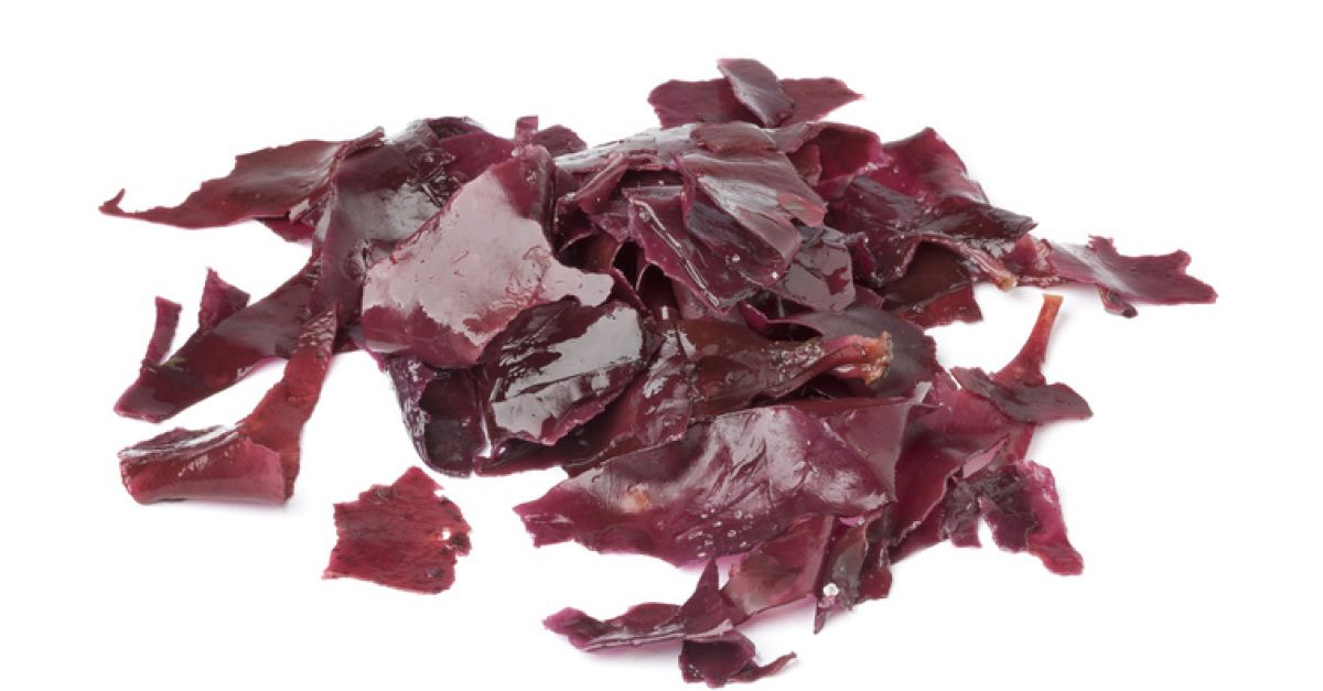 Dulse | EAT SMARTER