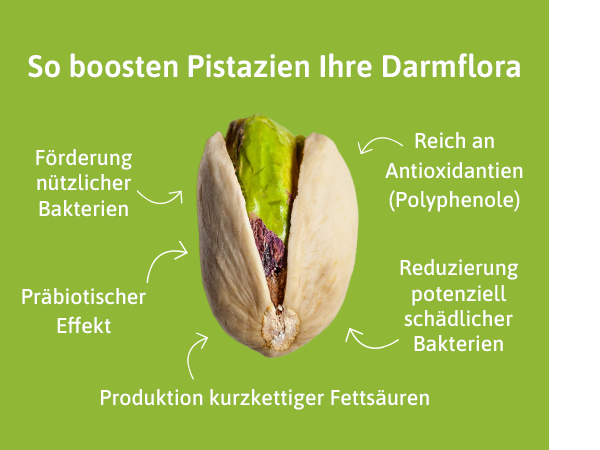 Pistazie und Darmflora