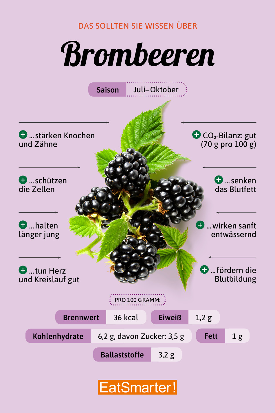 Brombeeren: Wissenswertes & tolle Rezepte | EAT SMARTER