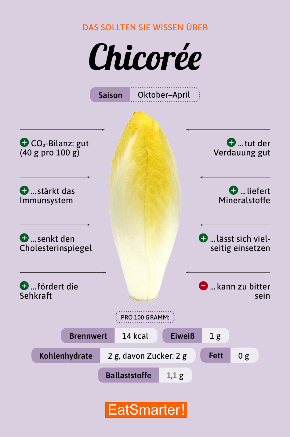 Chicorée | EAT SMARTER