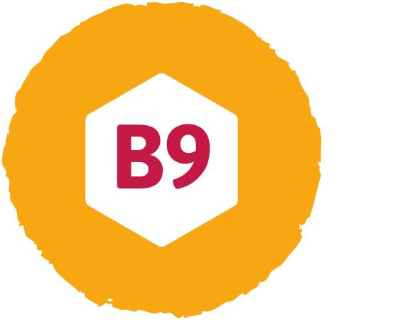 Vitamin B9