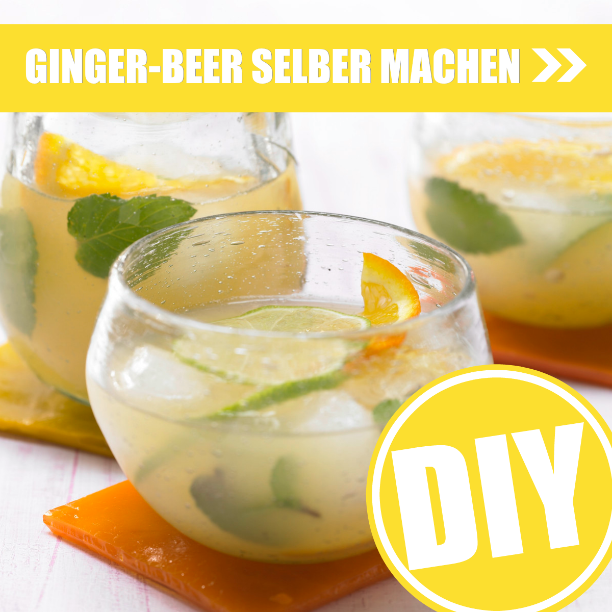 Gingerbeer selbermachen