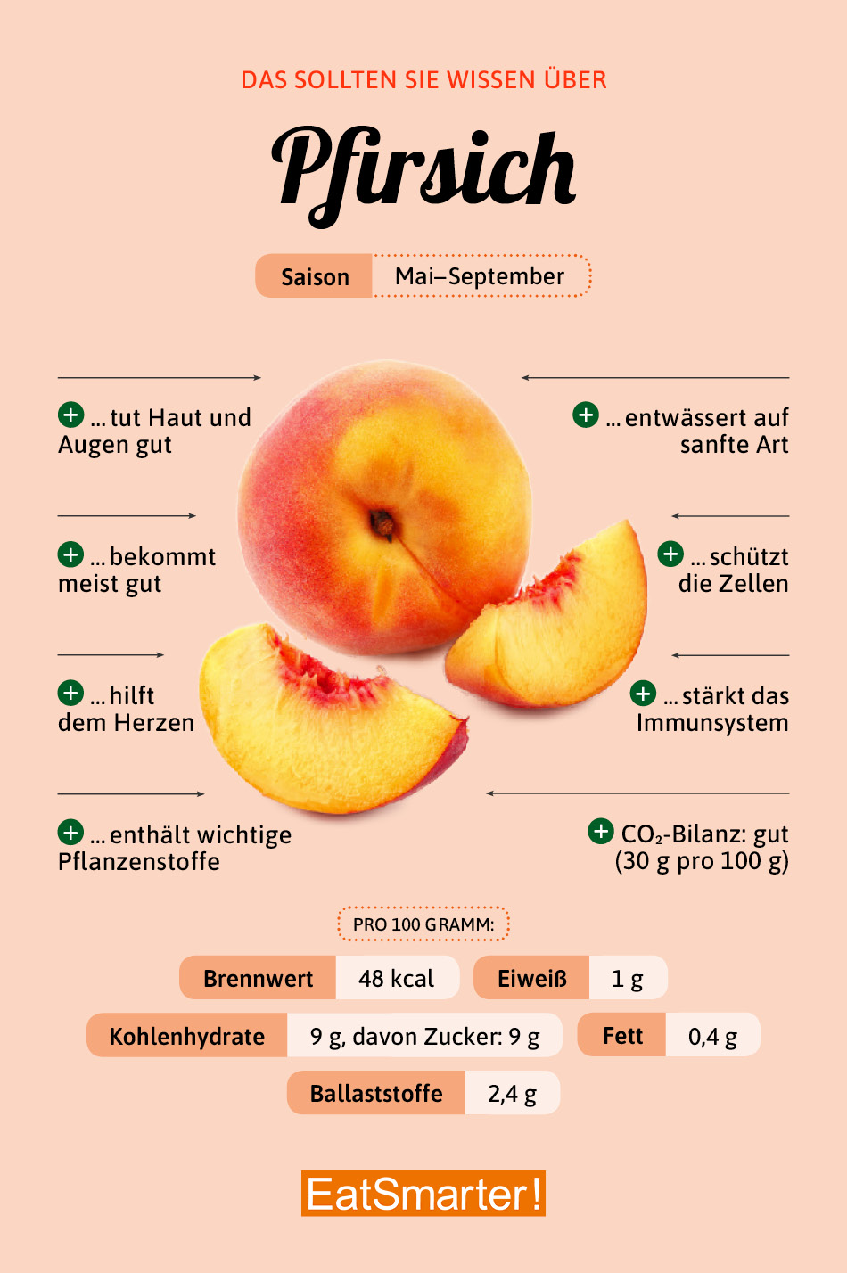 Was ist die wahre Ernährung der Punkte