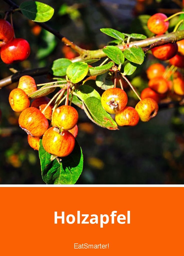 Holzapfel EAT SMARTER