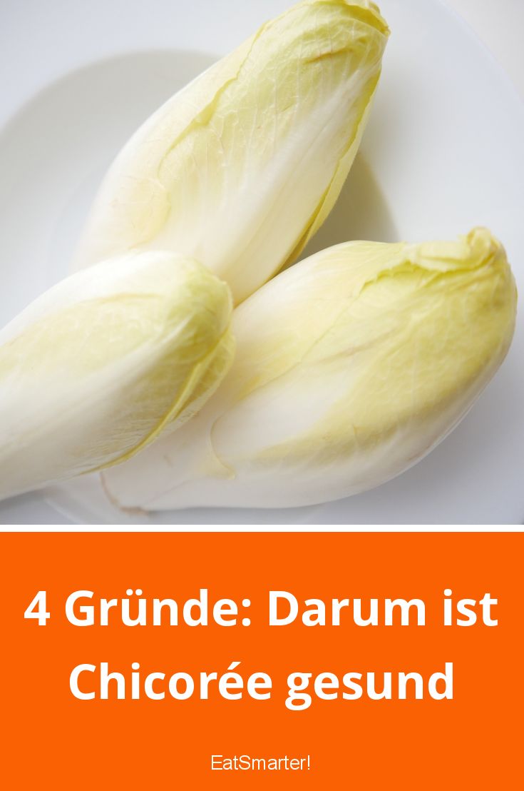 Chicorée Kalorien, Nährwerte & Gesundheitsvorteile EAT SMARTER
