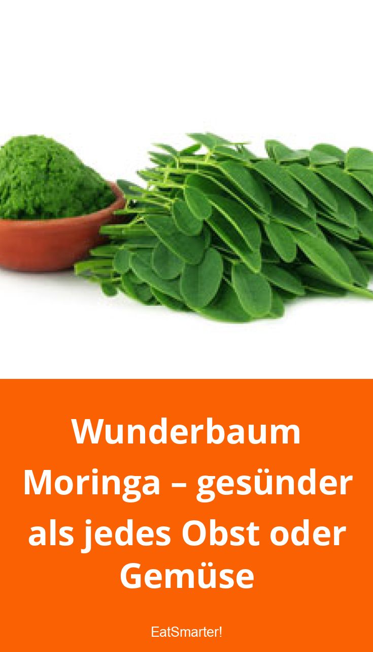 Moringa – Wunderbaum? | EAT SMARTER