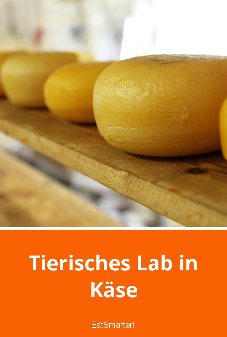 Tierisches Lab In welchem Käse steckt es? EAT SMARTER