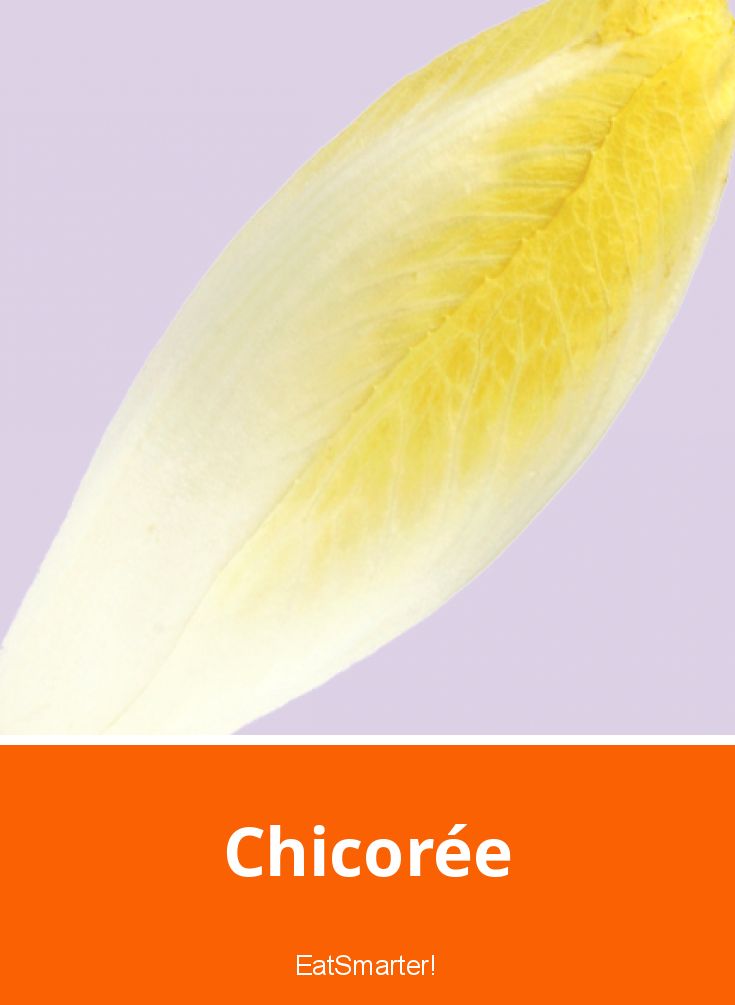 Chicorée | EAT SMARTER