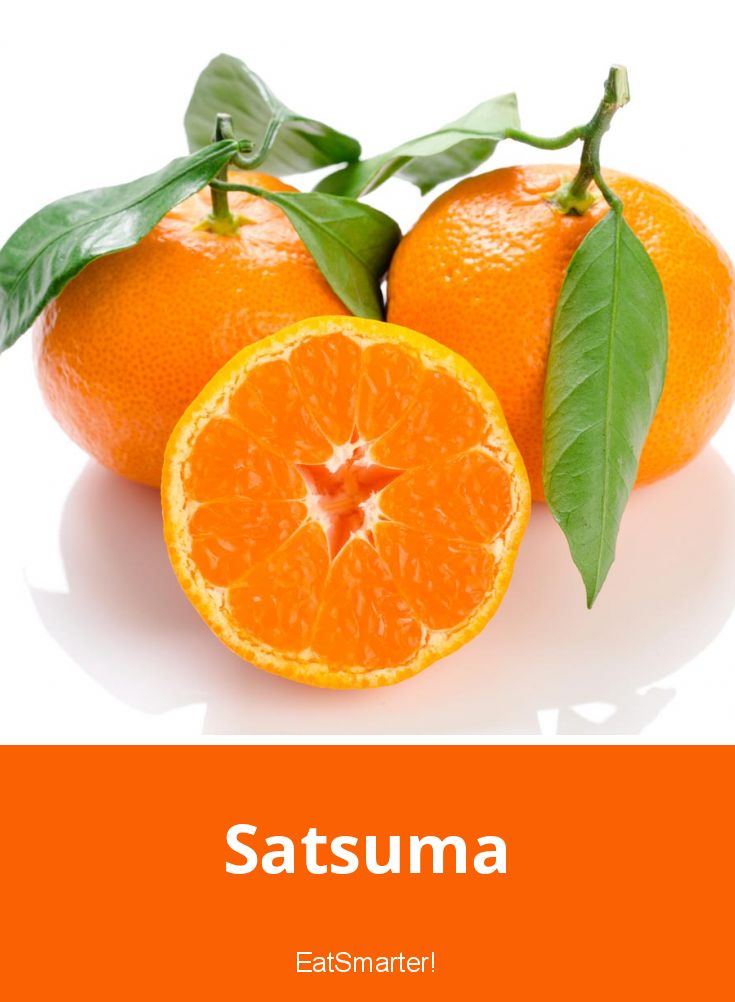 Satsuma die unbekannte Zitrufrucht EAT SMARTER