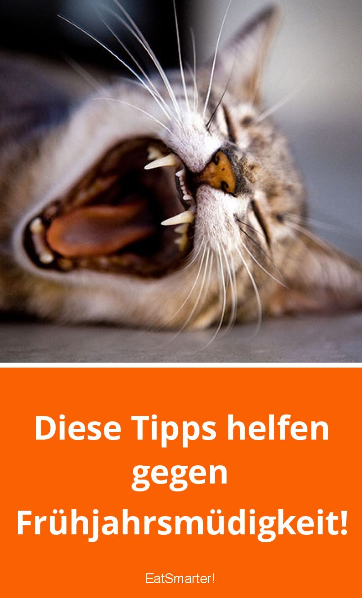 Tipps Frühjahrsmüdigkeit | EAT SMARTER