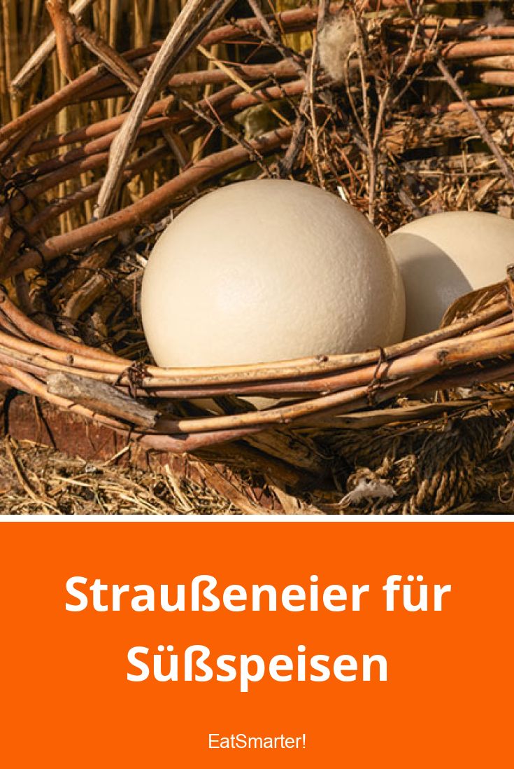 Straußeneier für Süßspeisen EAT SMARTER
