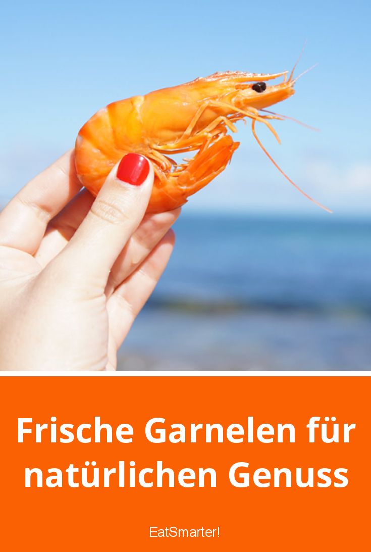 Frische Garnelen für natürlichen Genuss EAT SMARTER