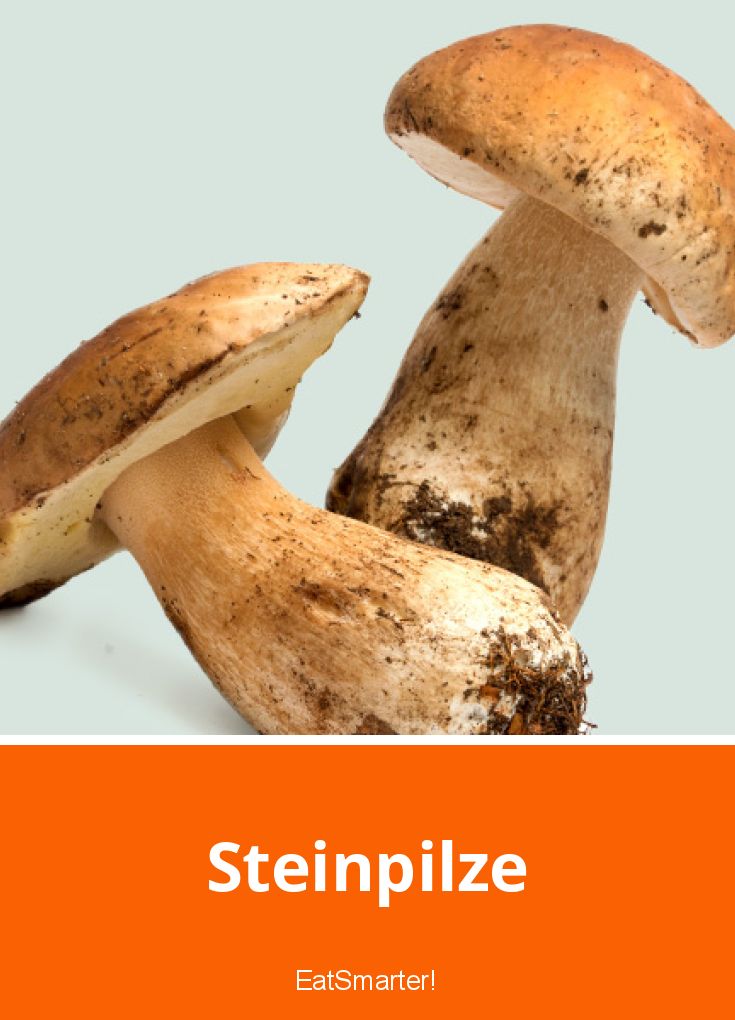 Steinpilze EAT SMARTER
