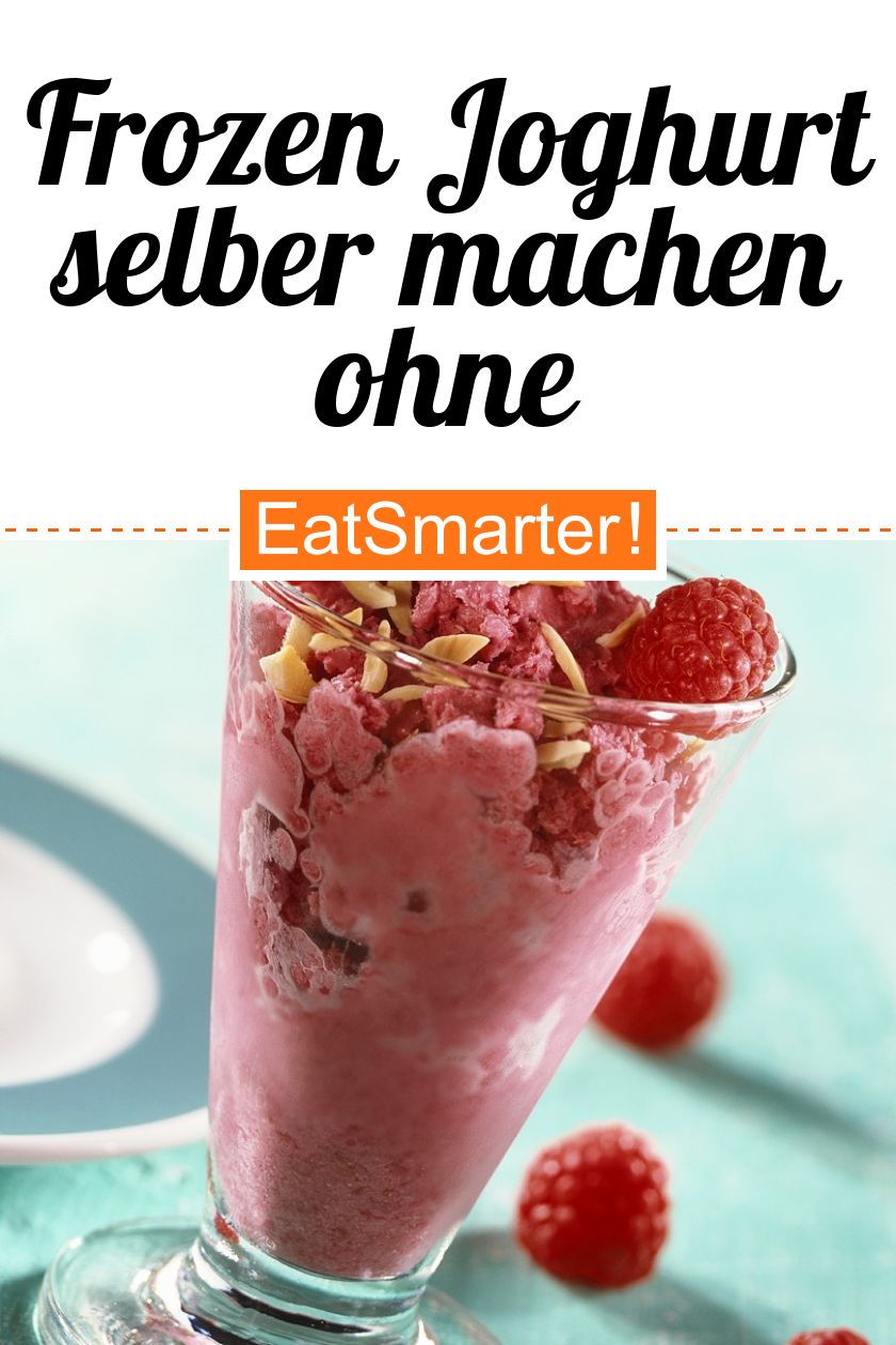 Frozen Joghurt Ohne Eismaschine Selber Machen