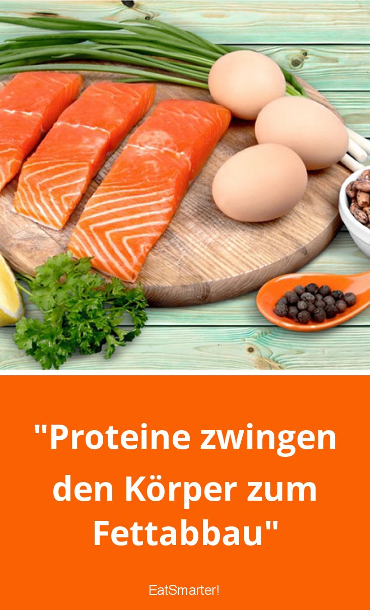 Nimmt Man Durch Proteine Ab
