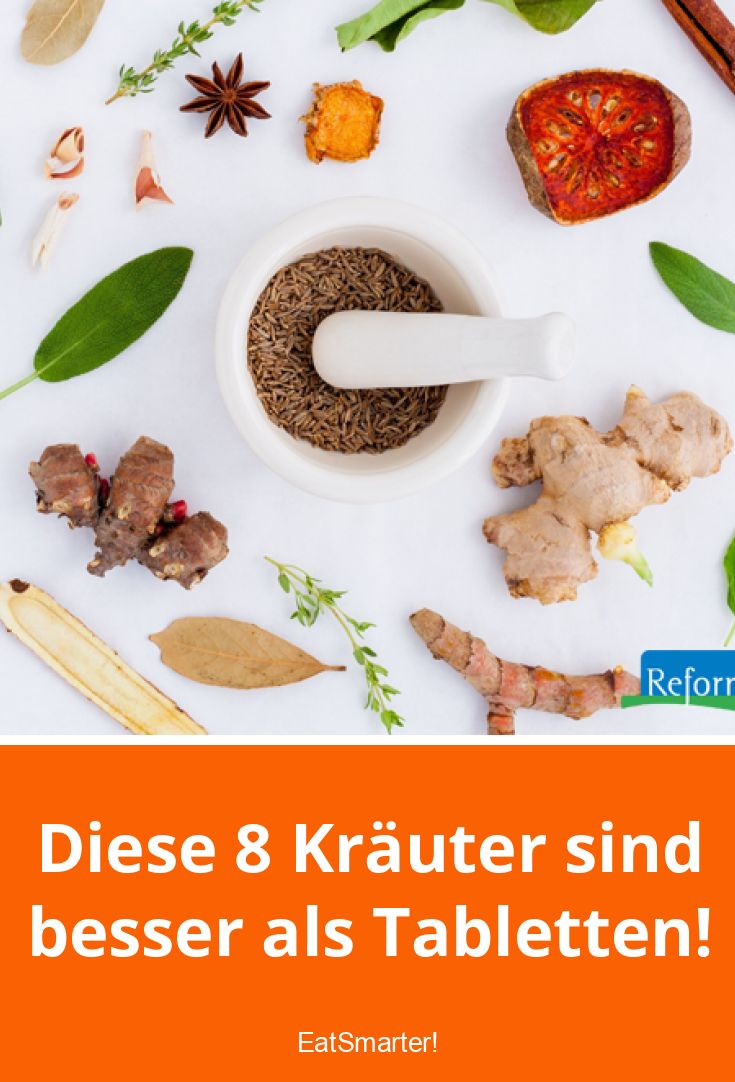 Die besten Kräuter für die Hausapotheke | EAT SMARTER