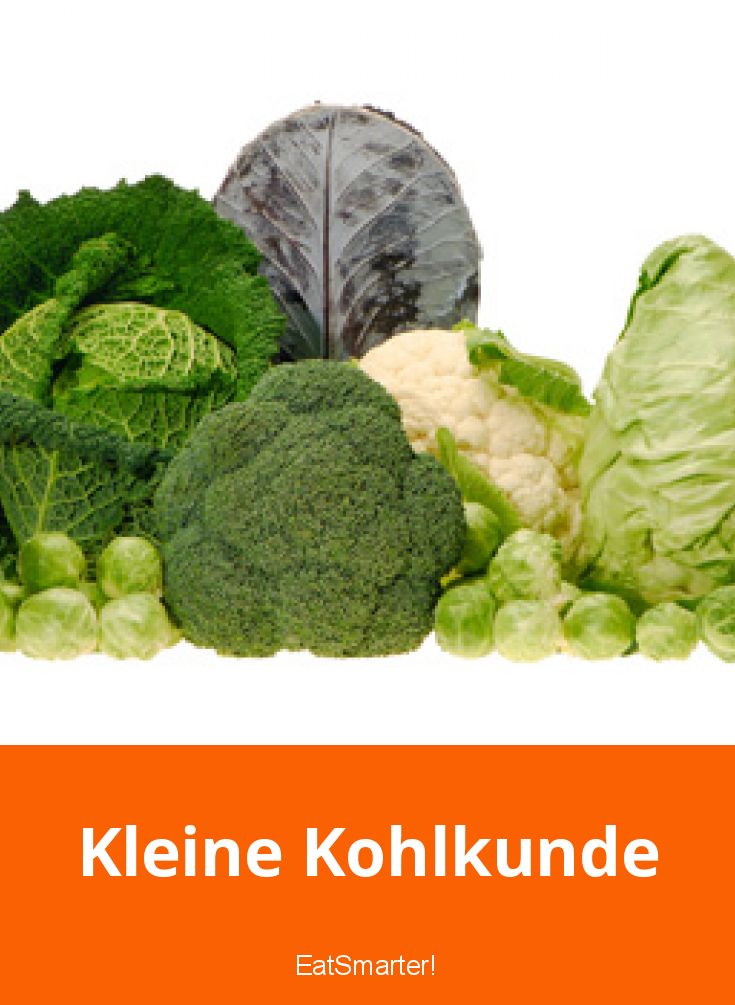 Kohlsorten - Kleine Kohlkunde | EAT SMARTER
