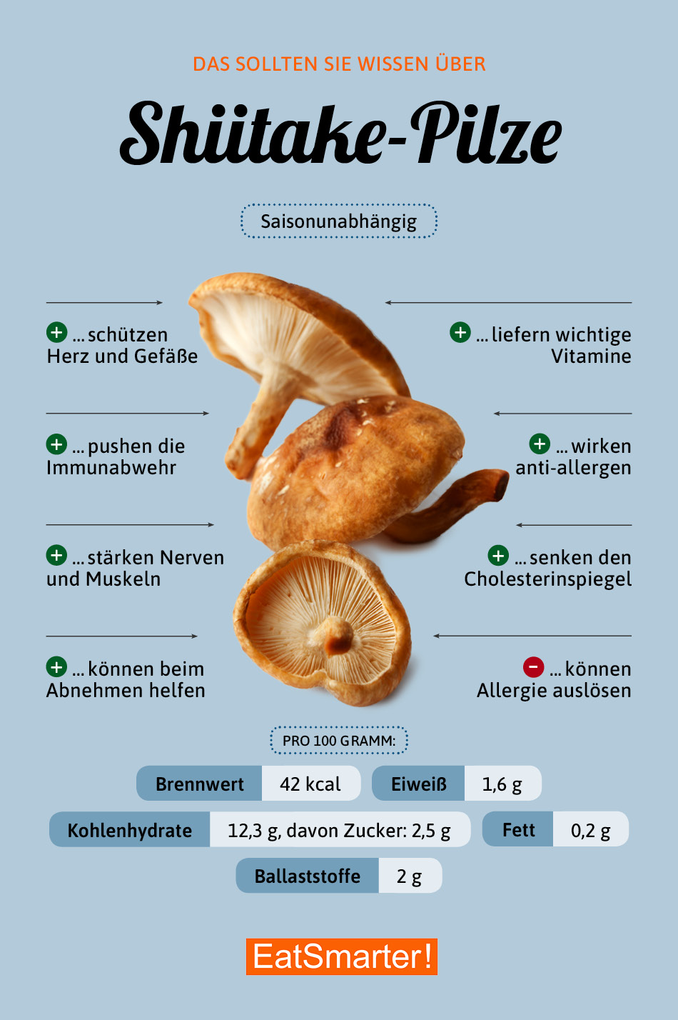 Shiitake Pilze