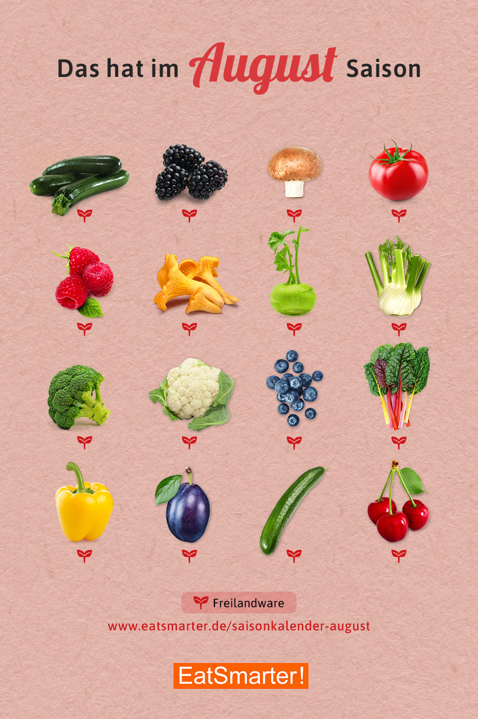 Saisonkalender August Obst & Gemüse | EAT SMARTER