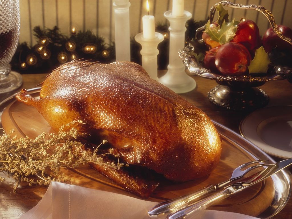 Gefüllte Gans Rezept | EAT SMARTER