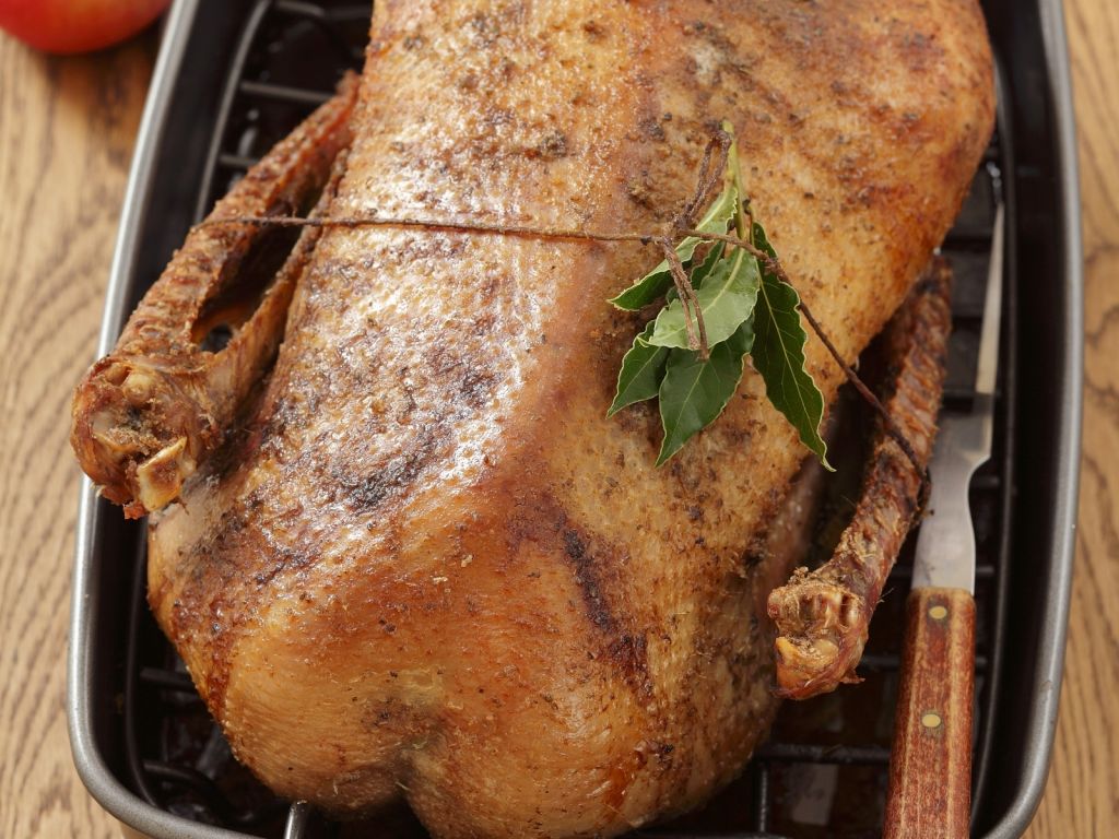 Gefüllter Gänsebraten mit Äpfeln und Cranberries Rezept | EAT SMARTER