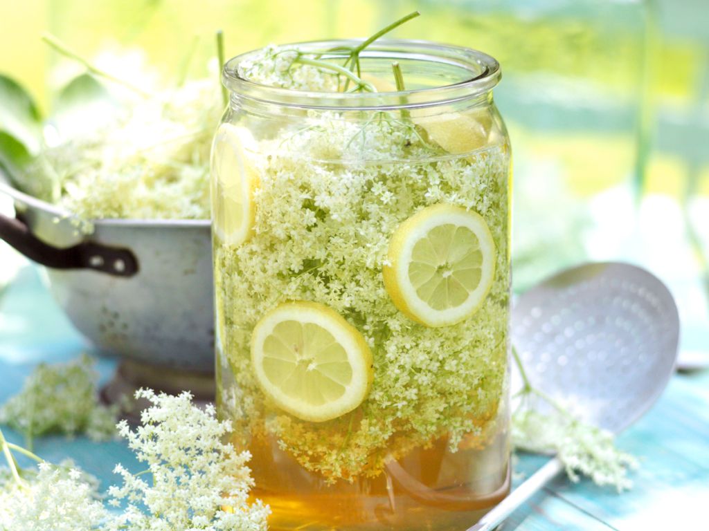 Holunderblütensirup mit Apfelsaft Rezept | EAT SMARTER