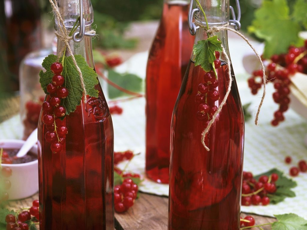 Johannisbeere Schnaps Selber Machen